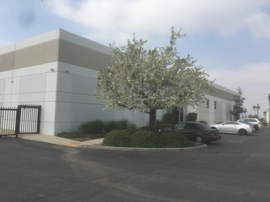 Falcon Office